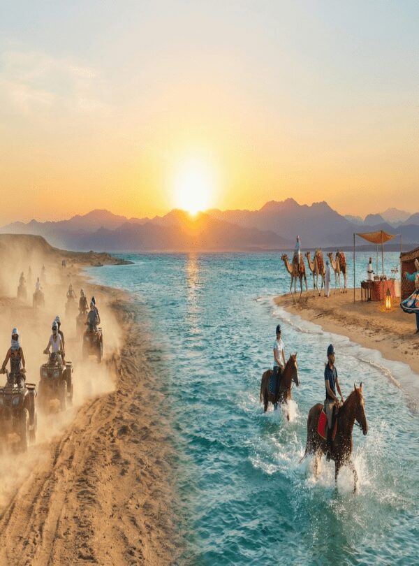 Desert Safari Activities