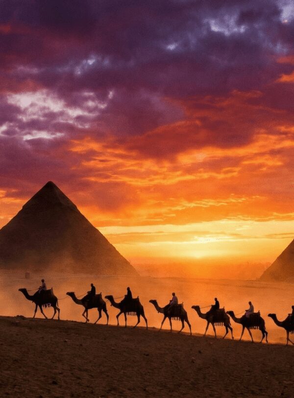 Camel caravan at sunset in front of Giza pyramids