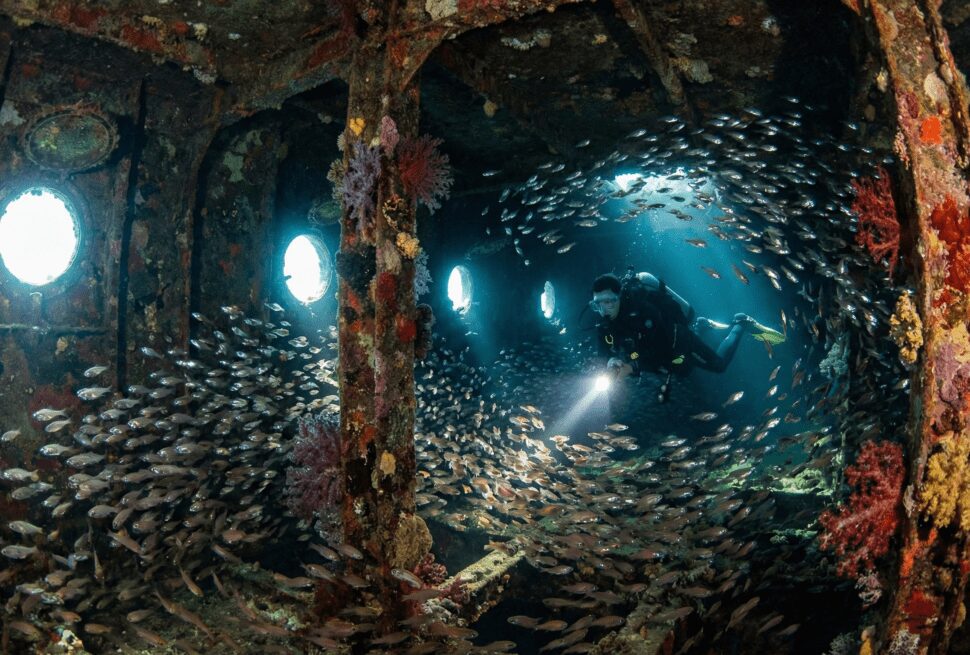 Scuba diver exploring the Giannis D wreck on the North Route diving safari in the Red Sea.